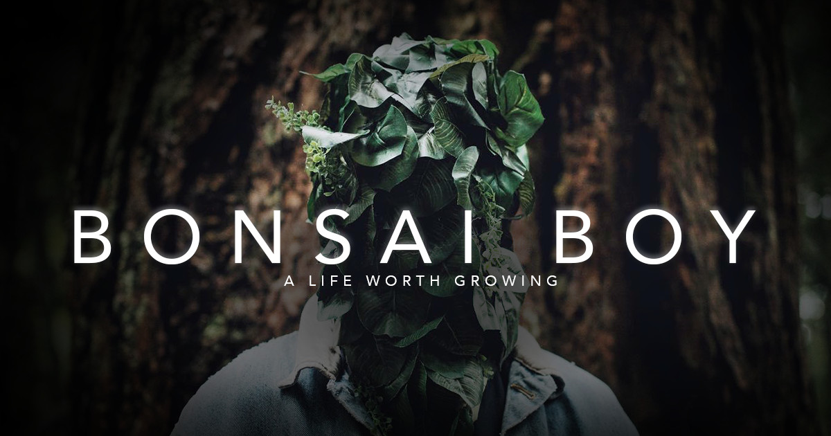 About Bonsai Boy Homepage