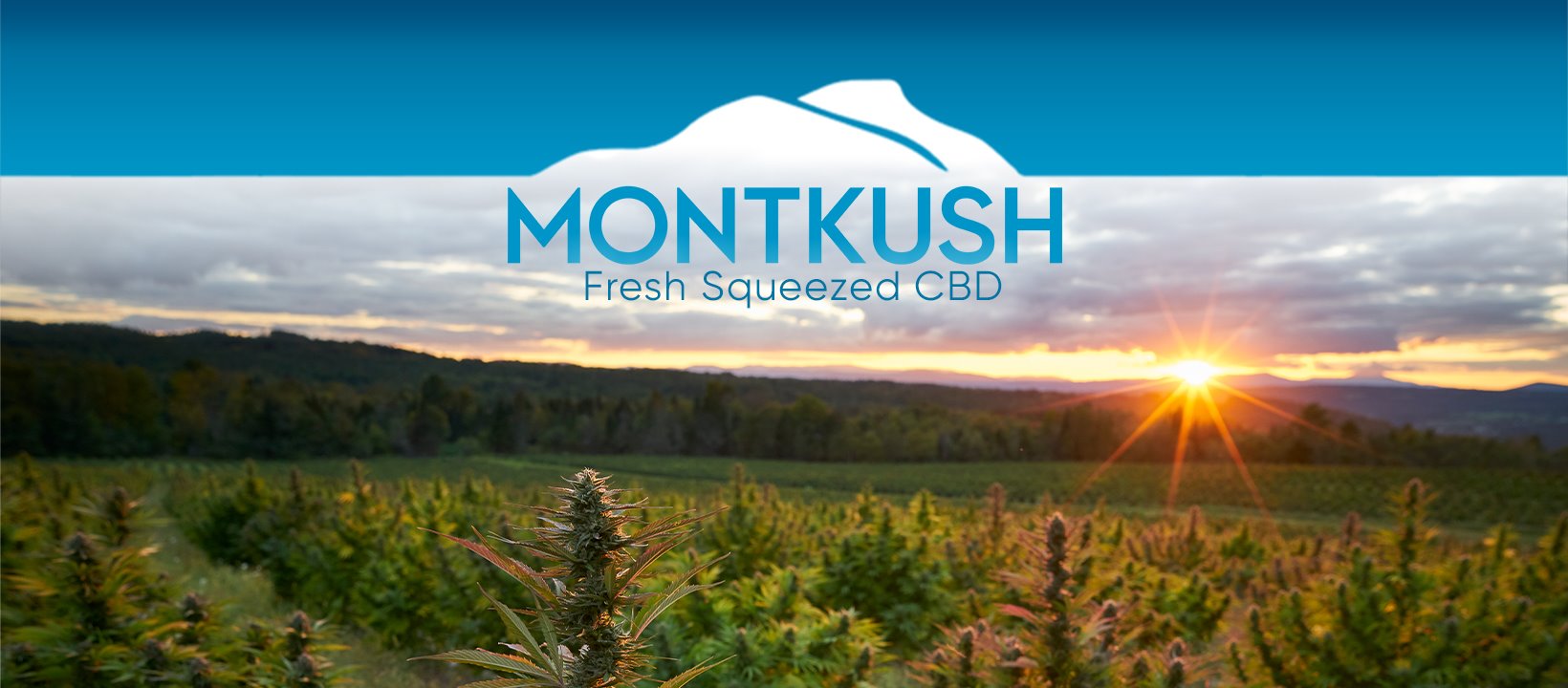 About MONTKUSH