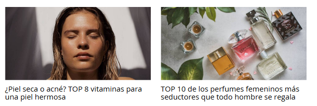 ejemplos de blogs de brasty en la página web de brasty