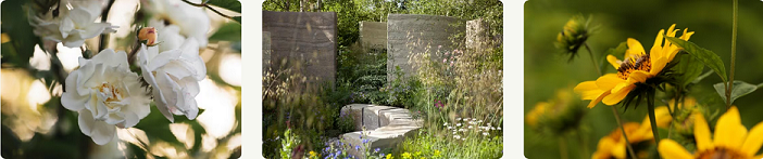 image showing more Crocus.co.uk offerings