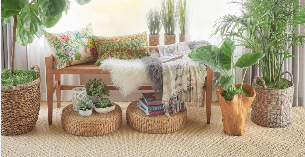 About Sisal Rugs Direct
