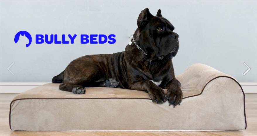 About Bully Beds Homepage
