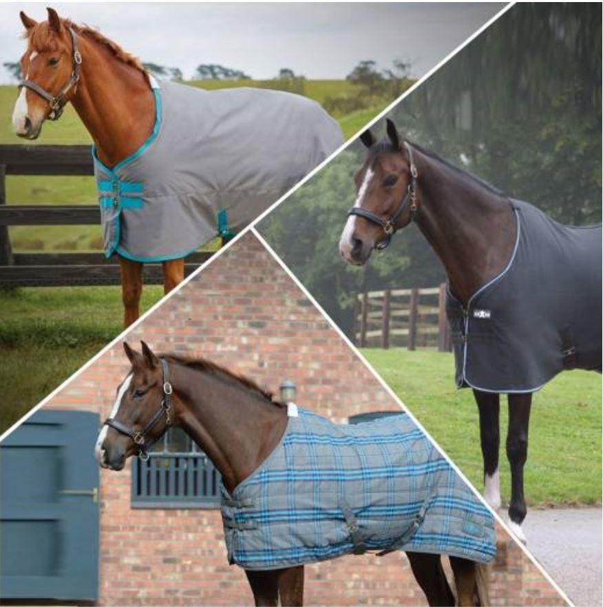Equine Superstore Coupon & Promo Codes August 2024
