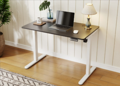 A black and white Elegant Showers electric standing desk