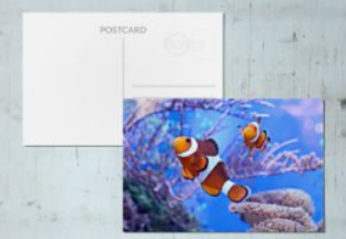 cartoline lenticolari in offerta se si utilizza un codice sconto FasterPrint sul loro sito