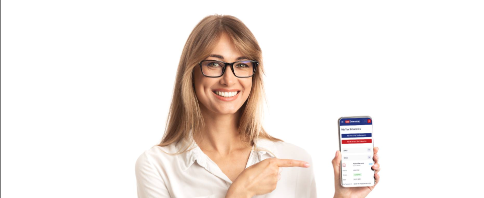 About TaxExtension Homepage