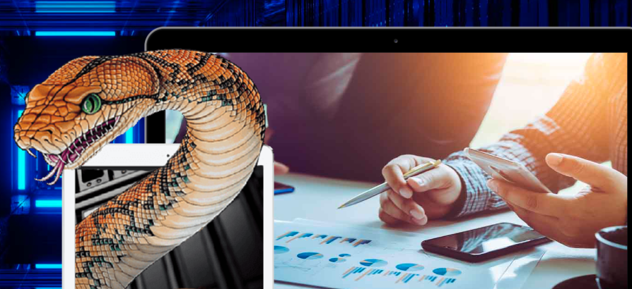 About Webhostpython