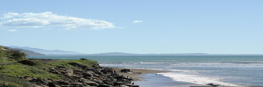 rail nz scenic train passes