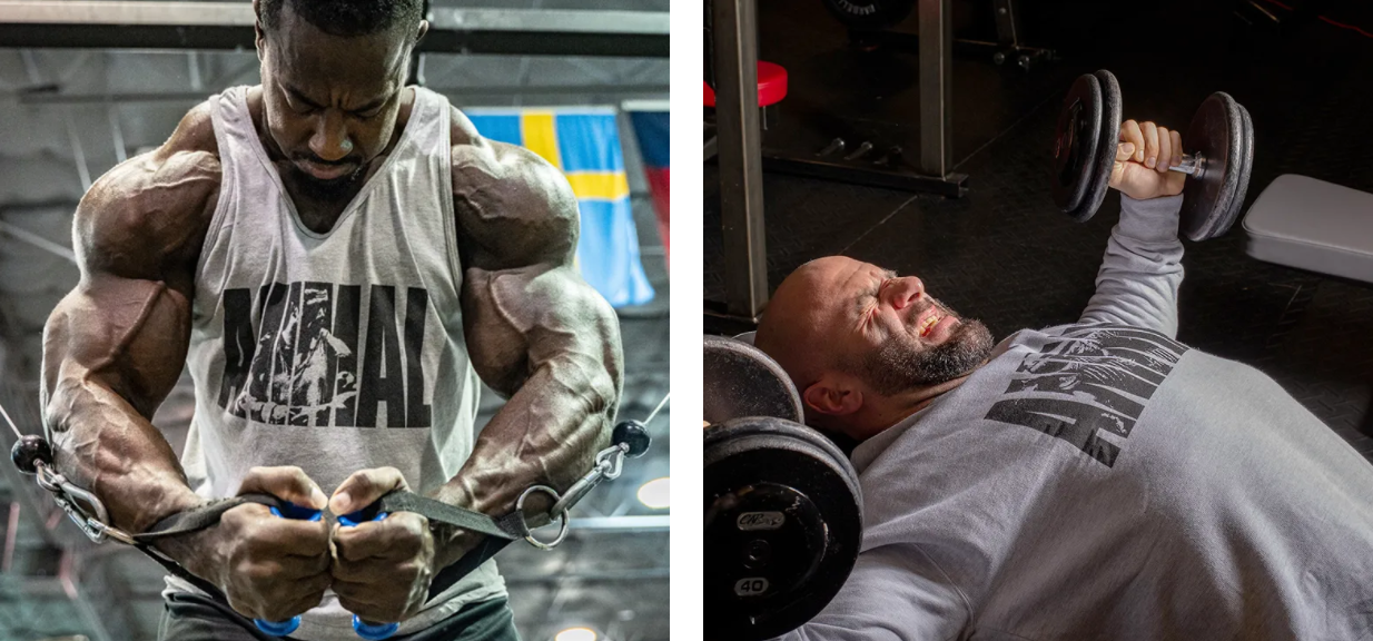 AnimalPak gear