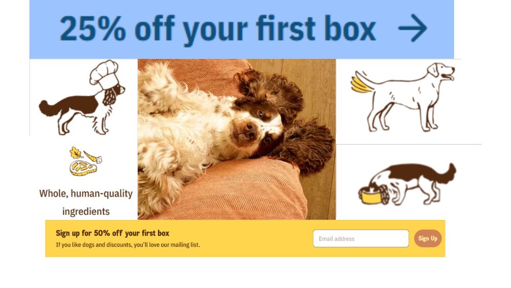 2 simples ways you can save on your Butternut Box order