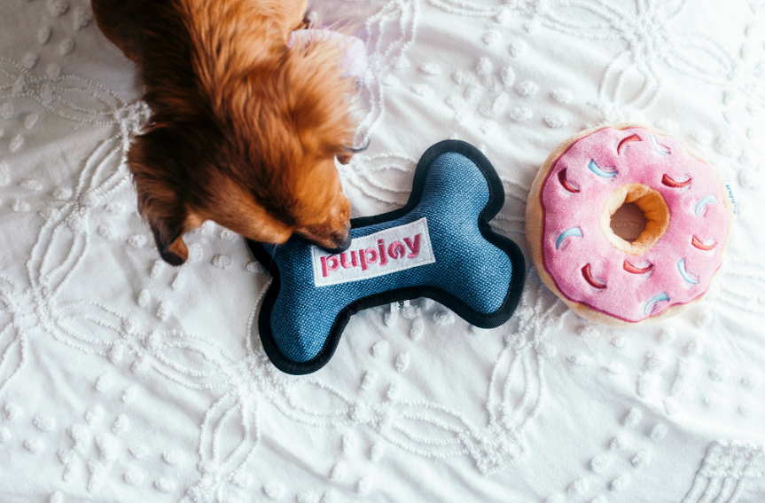 About PupJoy Homepage