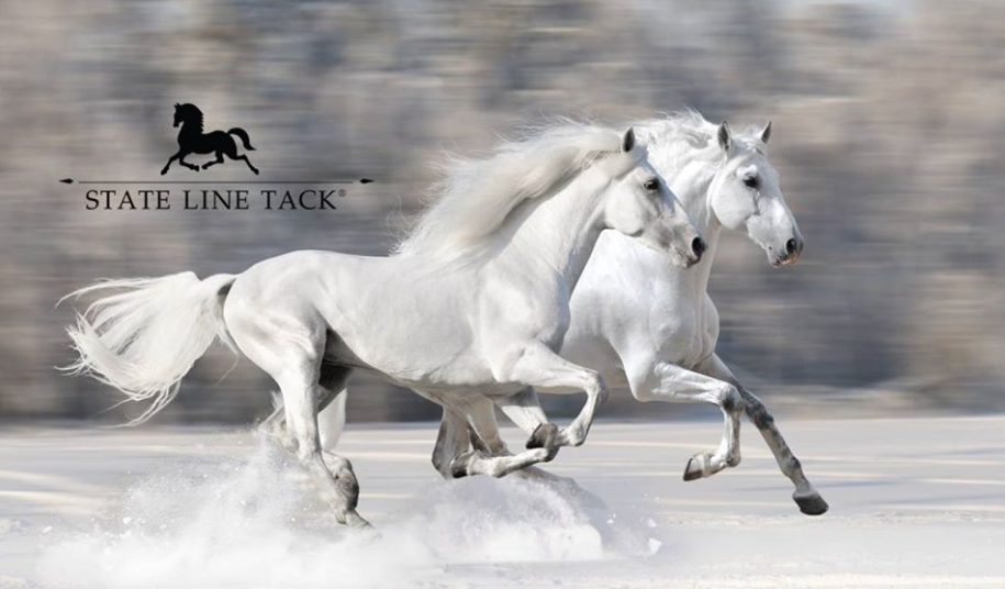 About State Line Tack Homepage