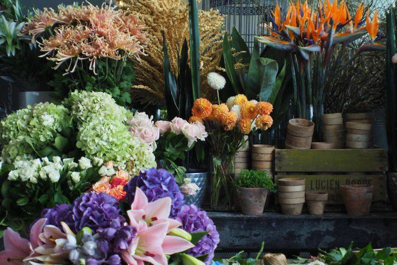 Verified 15 Off Wild Poppies Coupon & Promo Codes July 2022