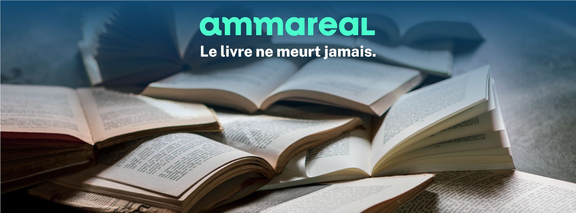 About Ammareal Homepage