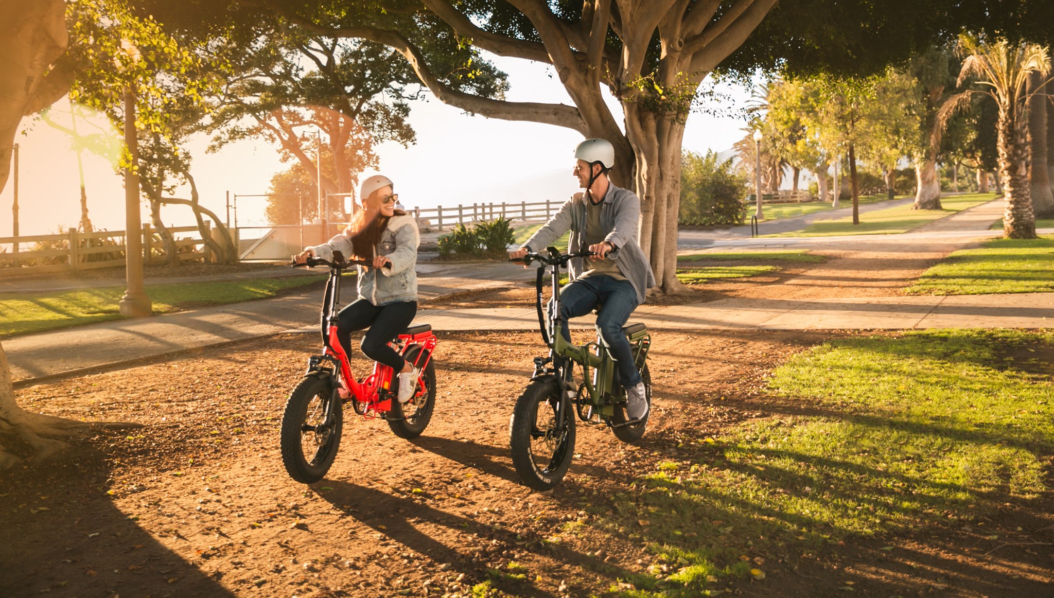 About Rattan Ebike