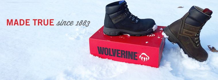 About Wolverine Homepage