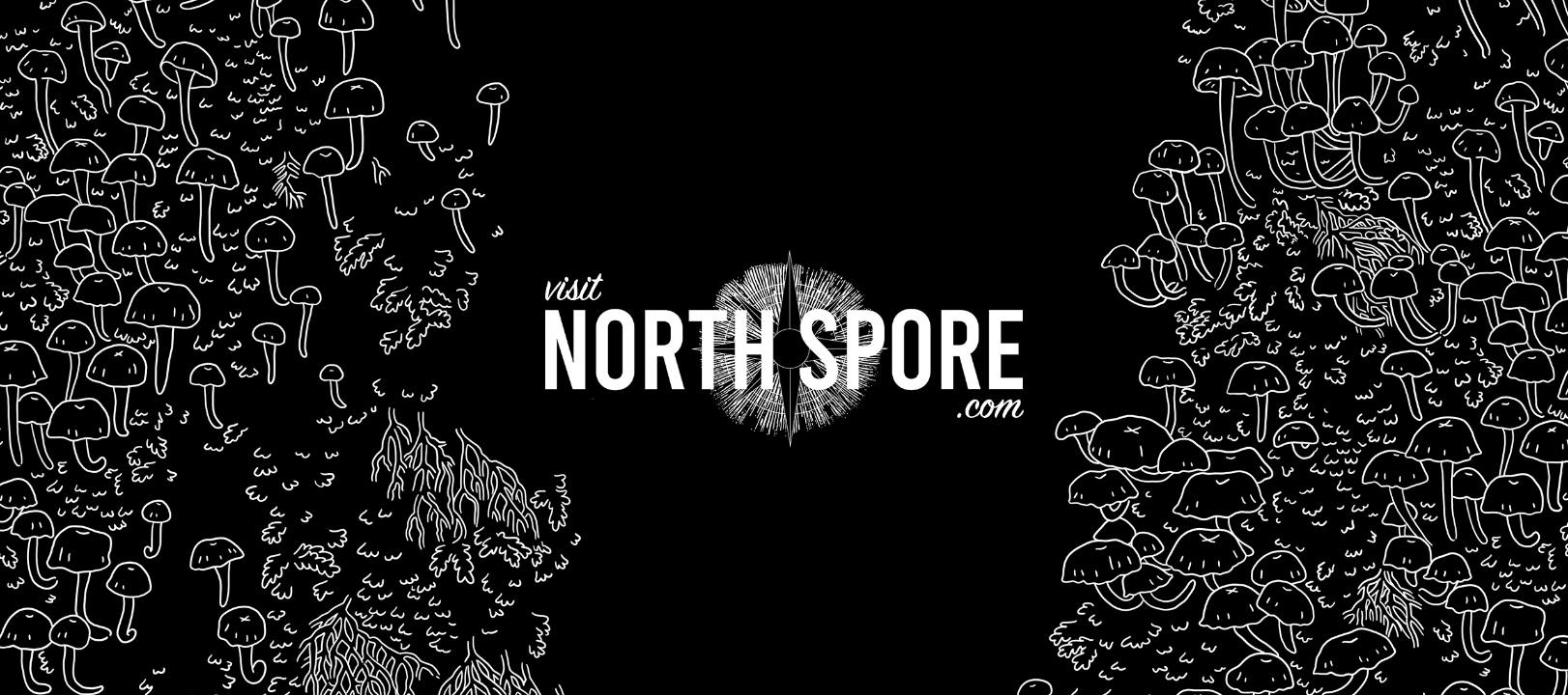 About North Spore Homepage