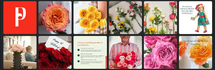 About POMP Flowers