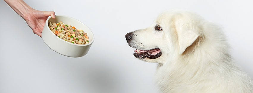 About Nom Nom Homepage