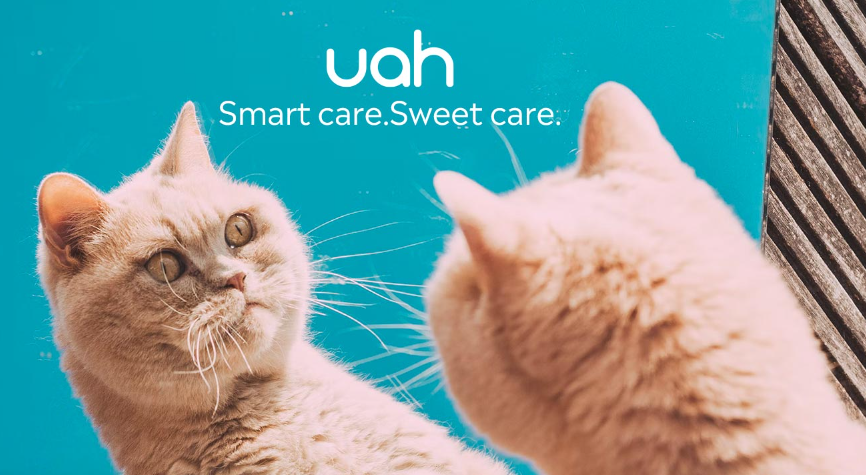About Uahpet Homepage