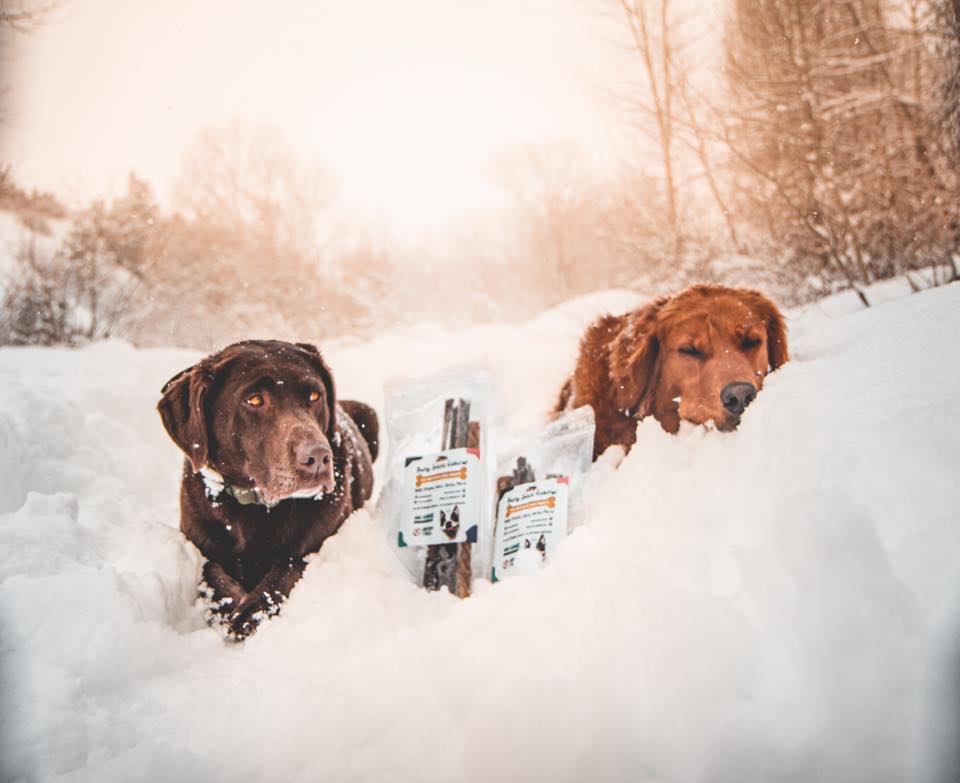 About Bully Sticks Central Homepage