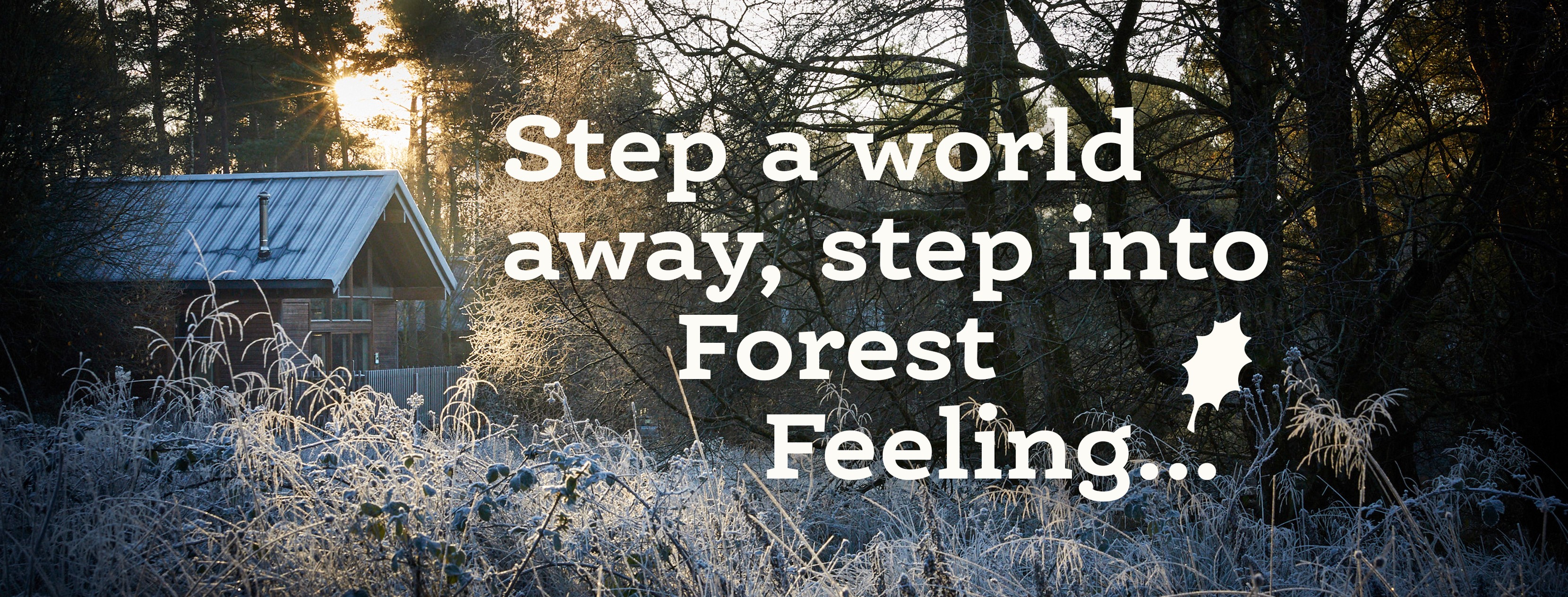 Forest Holidays Discount Code April 2024