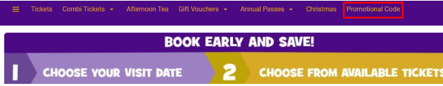 A red box will open the promo code window