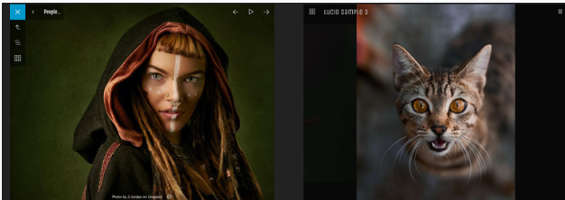 jAlbum galleries showing a woman’s portrait and a cat