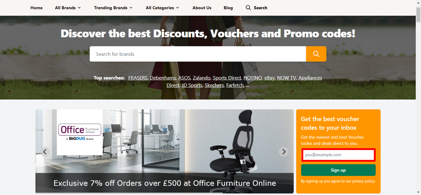 Love Discount Vouchers homepage where you can see where to put your emial to sign up for our newsletter