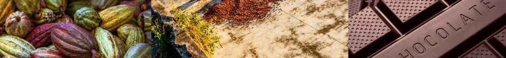 Chocolate Trading Company's chocolate magazine with interesting articles