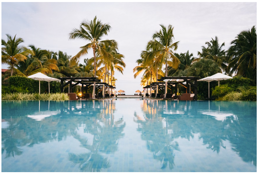 A holiday resort with green palm trees by the poolside