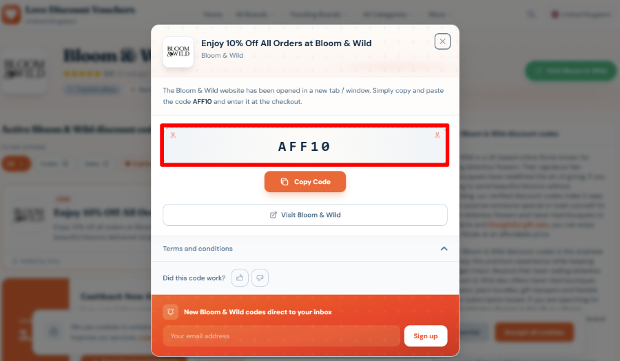 Copy your code and start shopping