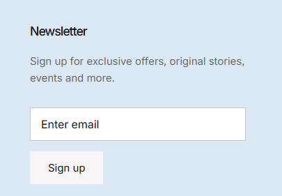 Blue Vanilla's newsletter registration