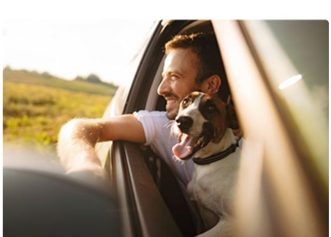 A man driving around around with his furry friend