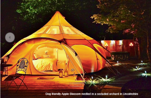 Get an Apple Blossom and enjoy your staycation