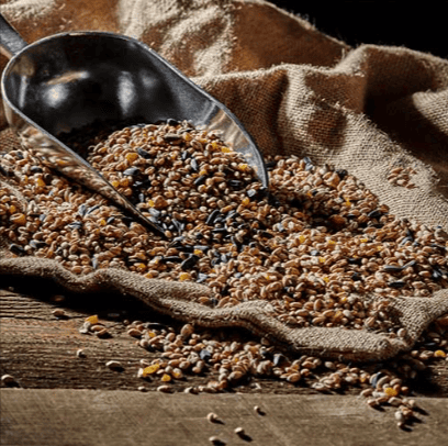 Seed from Happy Beaks that you can save on with a Happy Beaks discount code from Love Discount Vouchers