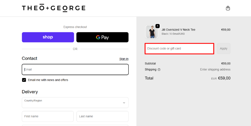 Theo + George promo code in the checkout page