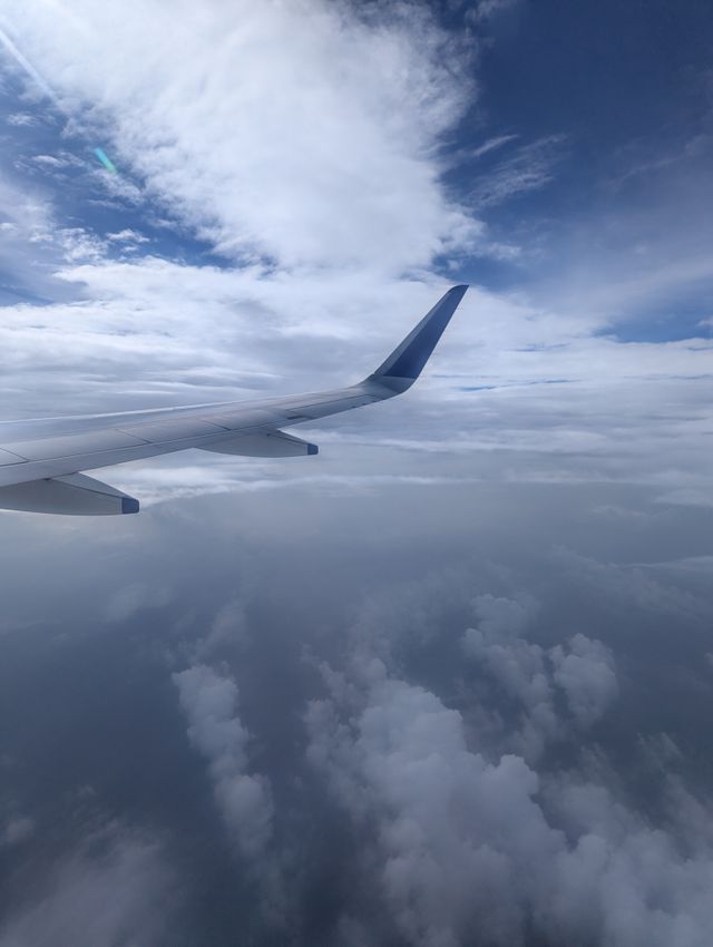 The tail end of an aeroplane flying through the sky