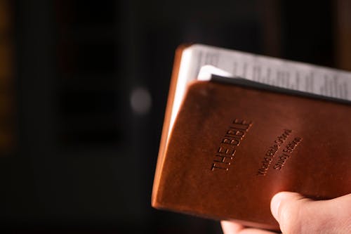A person holding a Bible that they saved on with an eden.co.uk discount code