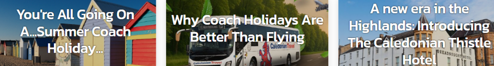 Caledonian Travel's blog filled with neccessary travel information