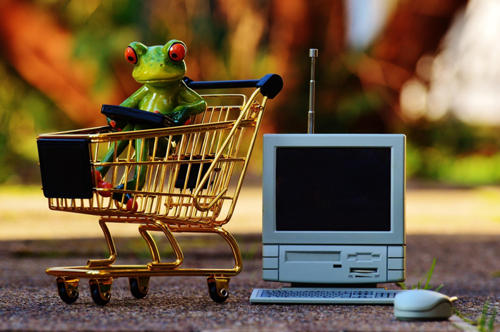 Ein Frosch auf einem kleinen Einkaufswagen nebem einem kleinen Computer