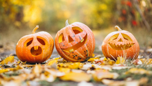 tres calabazas de halloween en otoño