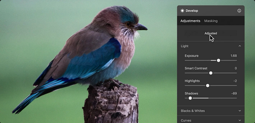 image showing an example of the Luminar (Skylum) developing software