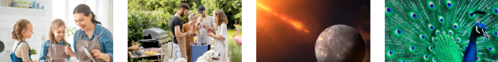 Centre of Excellence's blog on wellness, pets, astrology, and the supernatural