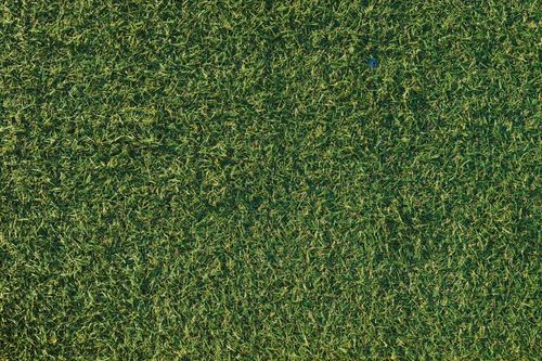 Artficial grass that someone saved on with a Grass Direct discount code