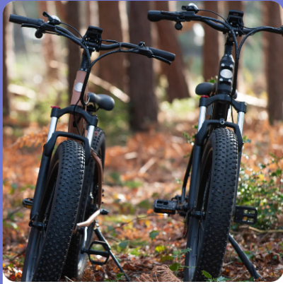Two black electric bikes purchased with a promo code
