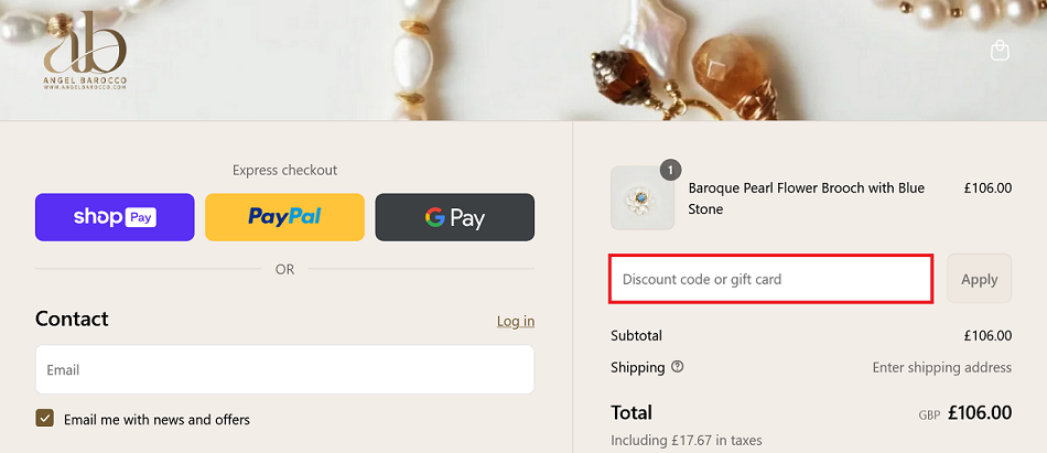 image showing the discount code box, bordered in red