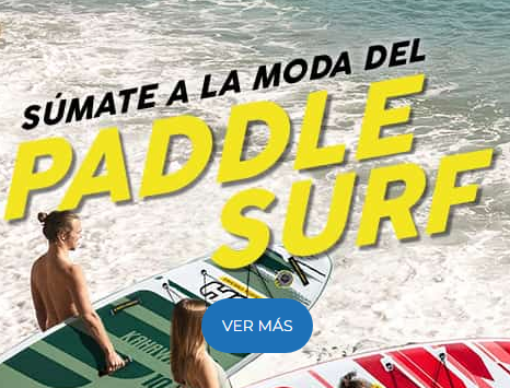 surfers con tablas en la playa en la orilla del mar