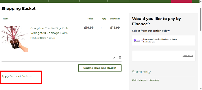 A highlighted box where customers apply their discount code