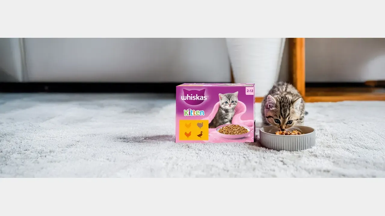 Free WHISKAS Chicken in Jelly Cat Food Samples